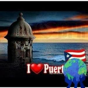 Meet your Posher, Naomi